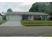 Ranch-style home with a paved driveway and well-maintained lawn at 4313 Hollow Hill Dr, Tampa, FL 33624