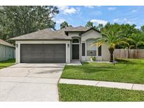 One-story house with a two-car garage and landscaped lawn at 9733 Long Meadow Dr, Tampa, FL 33615