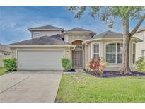 Two-story house with a two-car garage and landscaped yard at 7110 Moss Ledge Run, Land O Lakes, FL 34637