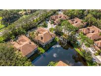Stunning aerial view of townhomes nestled around a serene pond and lush landscaping at 4251 Preserve Pl, Palm Harbor, FL 34685