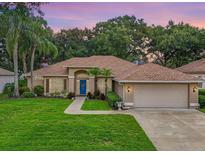 Charming single-story home with a two-car garage and manicured lawn at 4940 Willow Ridge Ter, Valrico, FL 33596