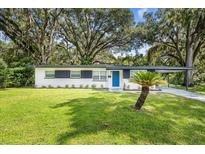 Updated Ranch home with a blue door and carport at 815 St Francis St, Brooksville, FL 34601