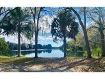 Scenic view of a tranquil lake with lush trees at 2400 Pine Hammock, Clearwater, FL 33764