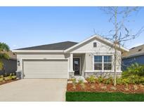 Charming one-story home featuring a two-car garage and beautifully landscaped front yard at 11814 Richmond Trl, Parrish, FL 34219