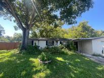 Ranch style home with mature tree and overgrown yard at 4605 Needle Palm Dr, New Port Richey, FL 34652