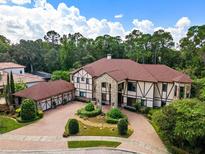Luxury Tudor style home with a large backyard and brick driveway at 909 Shoals Landing Dr, Brandon, FL 33511
