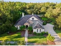 Aerial view of a luxurious home with a large yard at 918 Shoals Landing Dr, Brandon, FL 33511