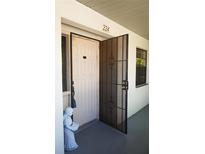 Inviting front entryway featuring a secure screen door and charming decorative accents at 1601 43Rd S N St # 224, St Petersburg, FL 33713