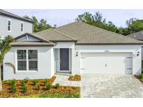 Charming single-story home boasts a well-manicured front yard and a convenient two-car garage at 13806 Sunlight Meadow Dr, Riverview, FL 33578