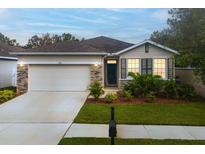 Charming single-story home featuring a two-car garage, landscaped front yard, and a welcoming entrance at 11892 Frost Aster Dr, Riverview, FL 33579