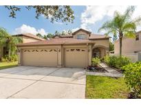 Two-story house with three-car garage and landscaped yard at 18141 Sandy Pointe Dr, Tampa, FL 33647