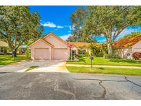 View 1132 Rustlewood Ct Palm Harbor FL