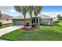 Single-story house with green walls, gray roof, and palm trees at 11111 Dormie Dr, San Antonio, FL 33576