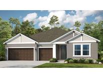 Two-car garage home with craftsman style exterior at 33957 Anchor Light Ln, Wesley Chapel, FL 33543