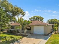 Front exterior view of a single-story house with a white garage door and landscaping at 5122 Lillilea Ln, New Port Richey, FL 34653