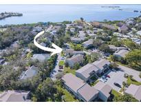 Aerial view of a residential neighborhood near the water, surrounded by lush greenery and trees at 428 Windrush Bay Dr, Tarpon Springs, FL 34689