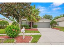 Charming single-story home with a well-manicured lawn, beautiful landscaping, and a two-car garage at 30735 Lanesborough Cir, Wesley Chapel, FL 33543
