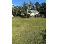 Spacious backyard with room for activities at 605 N Bradford Ave, Tampa, FL 33609