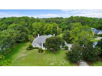 Expansive, beautiful single story home on a large lot with mature trees and lush green grass at 168 Rue Des Chateaux, Tarpon Springs, FL 34688