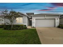 One-story house with attached garage and landscaping at 13204 Waterleaf Garden Cir, Riverview, FL 33579