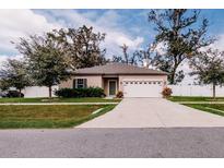 Charming single-story home with a well-maintained lawn and a two-car garage at 802 Highgate Oaks Pl, Seffner, FL 33584