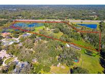 Aerial view of a large lot with wetlands and surrounding houses at 1810 Curry Rd, Lutz, FL 33549