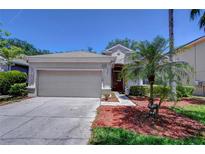Charming one-story home featuring a well-manicured lawn, mature trees, and an attached two-car garage at 15501 Pepper Pine Ct, Land O Lakes, FL 34638