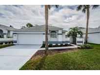 House exterior featuring a white single story home with gray accents, a two-car garage and palm trees at 11016 Casa Grande Cir, Spring Hill, FL 34608