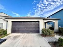 Cozy one-story house with a dark brown garage door at 15446 Broad Brush Dr, Ruskin, FL 33573