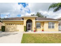 Charming single story home with attached garage and well-manicured lawn at 24617 Laurel Ridge Dr, Lutz, FL 33559