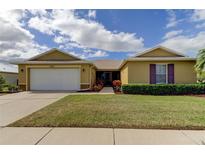 Tan house with white garage door and lush landscaping at 5220 Butterfly Shell Dr, Apollo Beach, FL 33572