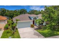 Charming single-story home with well-manicured lawn, mature trees, and two-car garage offers great curb appeal at 27542 Sky Lake Circle, Wesley Chapel, FL 33544