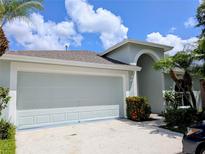Two-car garage with a large driveway, a well-manicured yard, and a light blue paint job at 27542 Sky Lake Circle, Wesley Chapel, FL 33544
