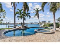 Luxury pool and spa with stunning waterfront views at 8014 12Th S Ave, St Petersburg, FL 33707