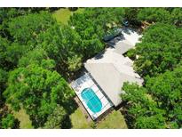 Aerial view of house with pool, surrounded by lush trees at 3204 Stagecoach Trl, Wimauma, FL 33598