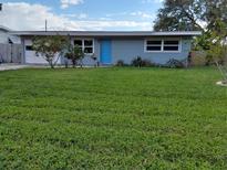 Ranch-style home with a blue door and well-maintained lawn at 8528 Iris Ave, Seminole, FL 33777