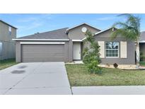 Gray house with a two-car garage and landscaped lawn at 7231 Somerset Pond Dr, Ruskin, FL 33573