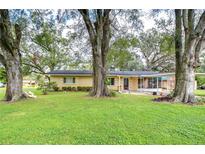 Ranch style home with mature trees and a spacious lawn at 33137 Cercelia Rd, Dade City, FL 33523