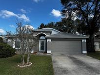 Charming one-story home with gray siding and a two-car garage at 2119 Cattleman Dr, Brandon, FL 33511