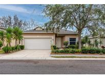 Tan house with white garage door and landscaping at 7820 Harbor Bridge, New Port Richey, FL 34654