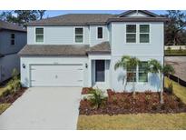 Two-story house with light blue siding, gray roof, and landscaping at 12620 Glenn Creek Dr, Riverview, FL 33569