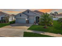 Two-story house with gray siding and a palm tree at 13444 Golden Lime Ave, Spring Hill, FL 34609