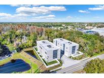 Aerial view of two modern townhouses near a pond and road at 3845 Seena Manor Ct, Tampa, FL 33618