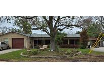 House exterior with mature landscaping at 7054 Hibiscus S Ave, South Pasadena, FL 33707
