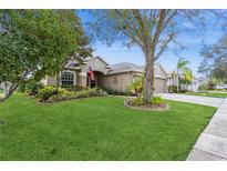 Beautiful one-story home with a landscaped yard and three-car garage at 1433 Emerald Hill Way, Valrico, FL 33594