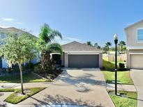 Charming single-Gathering home featuring a two-car garage and lush landscaping at 16912 Yellow Pine St, Wimauma, FL 33598