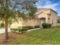 Two-story house with attached garage and landscaping at 30619 White Bird Ave, Wesley Chapel, FL 33543