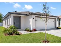 Modern single story home with gray door and white garage door at 29634 Fedora Cir, Brooksville, FL 34602