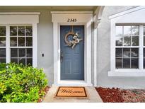 Charming home featuring a blue front door with wreath and welcome mat, nestled between bright windows and lush green landscaping at 2345 Lake Woodberry Cir, Brandon, FL 33510