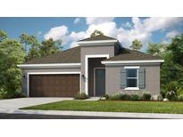 One-story home with brown garage door and gray exterior at 721 Sky Shade Dr, Apollo Beach, FL 33572